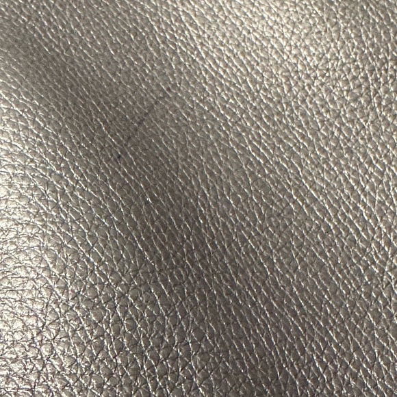 COACH Isabella Shoulder/Crossbody Bag,Pebble Leather,Light Metallic Champagne - Picture 10 of 15